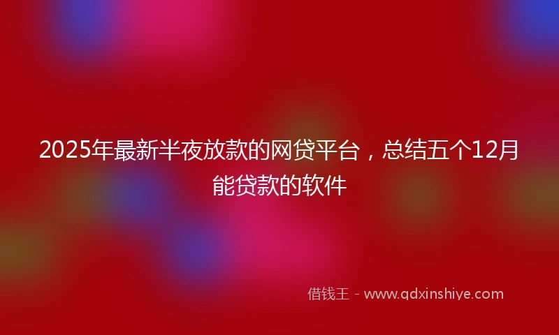 2025年最新半夜放款的网贷平台，总结五个12月能贷款的软件