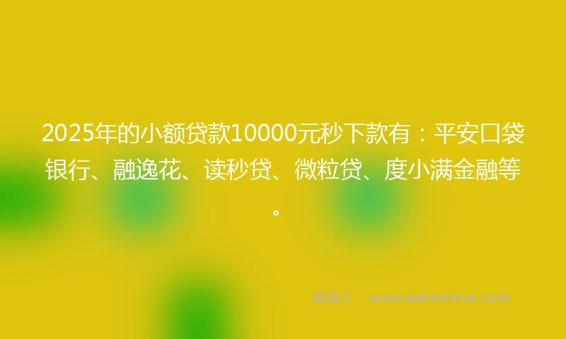 2025年的小额贷款10000元秒下款有：平安口袋银行、融逸花、读秒贷、微粒贷、度小满金融等。