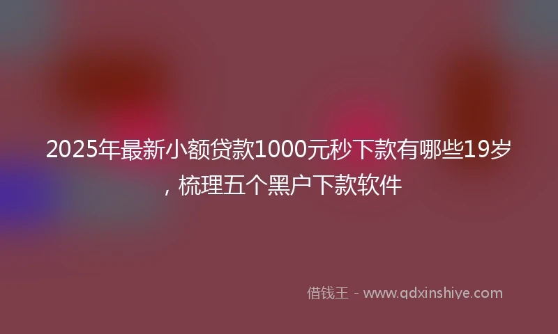 2025年最新小额贷款1000元秒下款有哪些19岁，梳理五个黑户下款软件