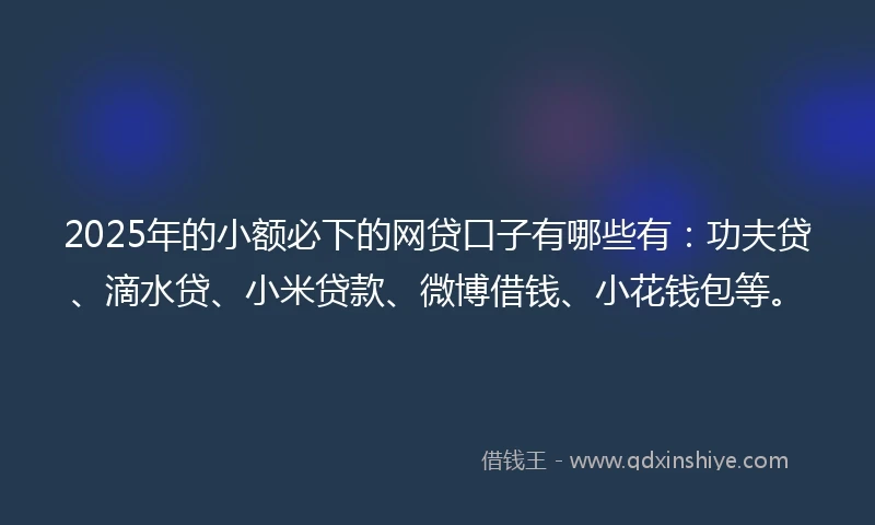 2025年的小额必下的网贷口子有哪些有：功夫贷、滴水贷、小米贷款、微博借钱、小花钱包等。
