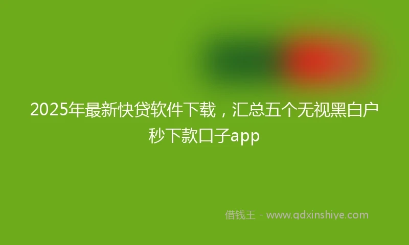 2025年最新快贷软件下载，汇总五个无视黑白户秒下款口子app