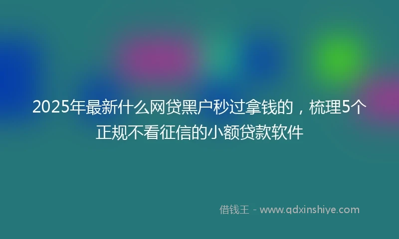 2025年最新什么网贷黑户秒过拿钱的，梳理5个正规不看征信的小额贷款软件