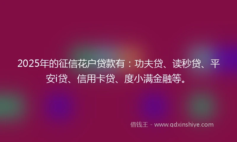 2025年的征信花户贷款有：功夫贷、读秒贷、平安i贷、信用卡贷、度小满金融等。