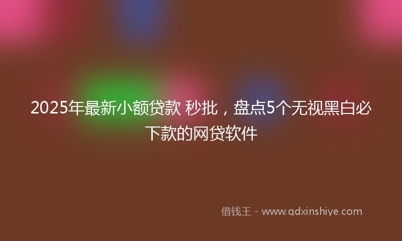 2025年最新小额贷款 秒批，盘点5个无视黑白必下款的网贷软件