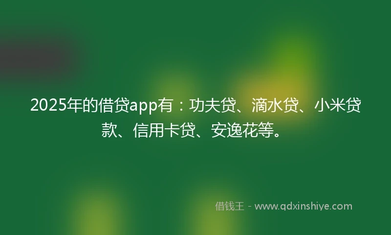 2025年的借贷app有：功夫贷、滴水贷、小米贷款、信用卡贷、安逸花等。