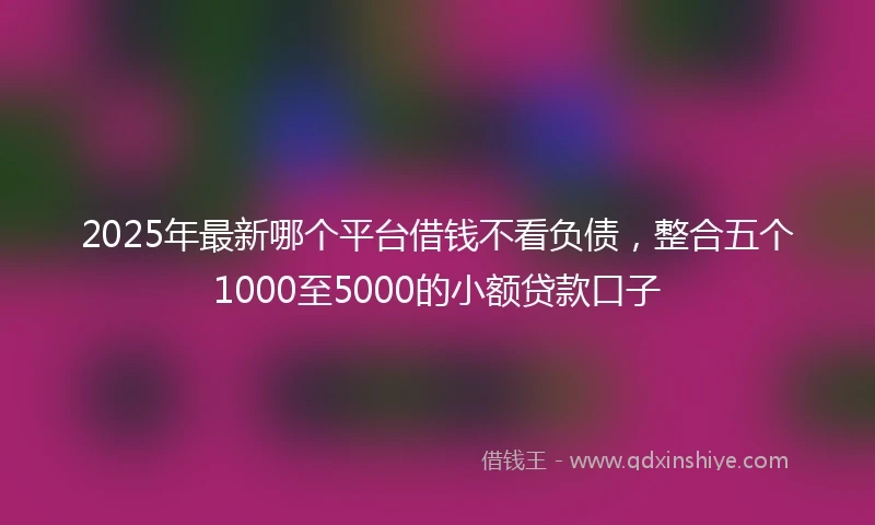 2025年最新哪个平台借钱不看负债，整合五个1000至5000的小额贷款口子
