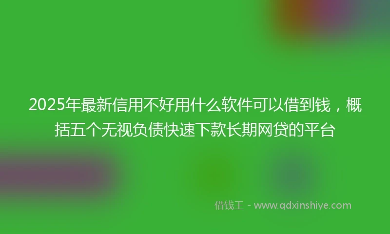 2025年最新信用不好用什么软件可以借到钱，概括五个无视负债快速下款长期网贷的平台