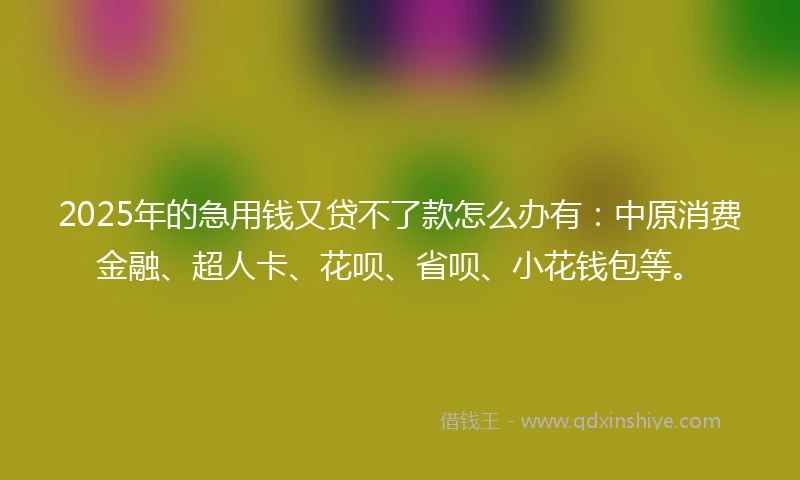 2025年的急用钱又贷不了款怎么办有：中原消费金融、超人卡、花呗、省呗、小花钱包等。