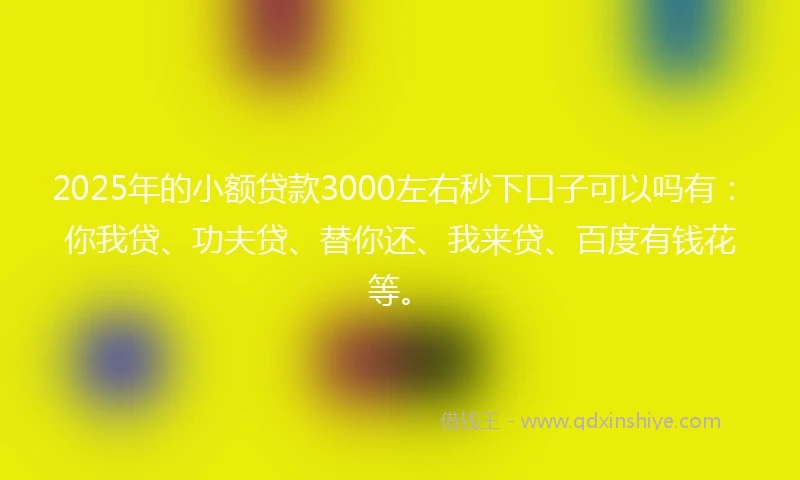 2025年的小额贷款3000左右秒下口子可以吗有：你我贷、功夫贷、替你还、我来贷、百度有钱花等。