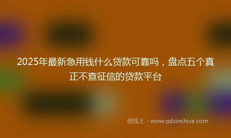 2025年最新急用钱什么贷款可靠吗，盘点五个真正不查征信的贷款平台