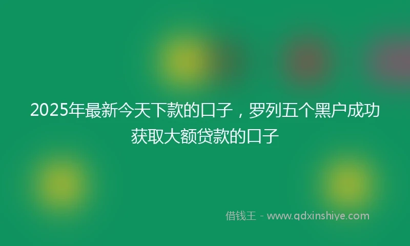 2025年最新今天下款的口子，罗列五个黑户成功获取大额贷款的口子