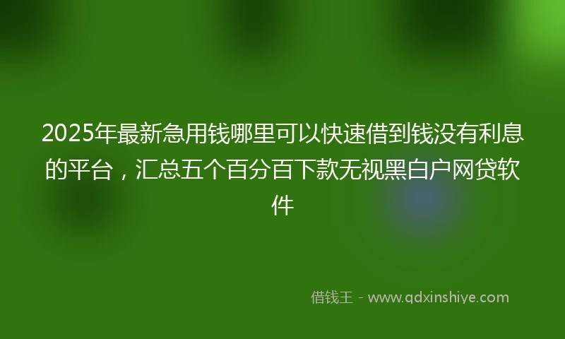 2025年最新急用钱哪里可以快速借到钱没有利息的平台，汇总五个百分百下款无视黑白户网贷软件