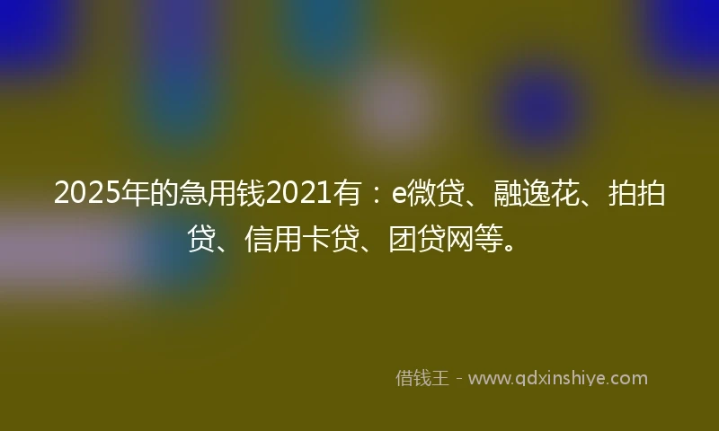 2025年的急用钱2021有：e微贷、融逸花、拍拍贷、信用卡贷、团贷网等。