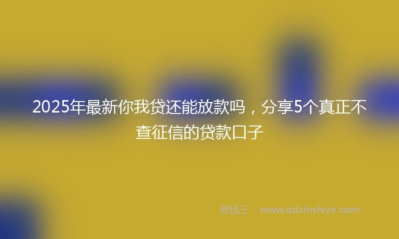 2025年最新你我贷还能放款吗，分享5个真正不查征信的贷款口子