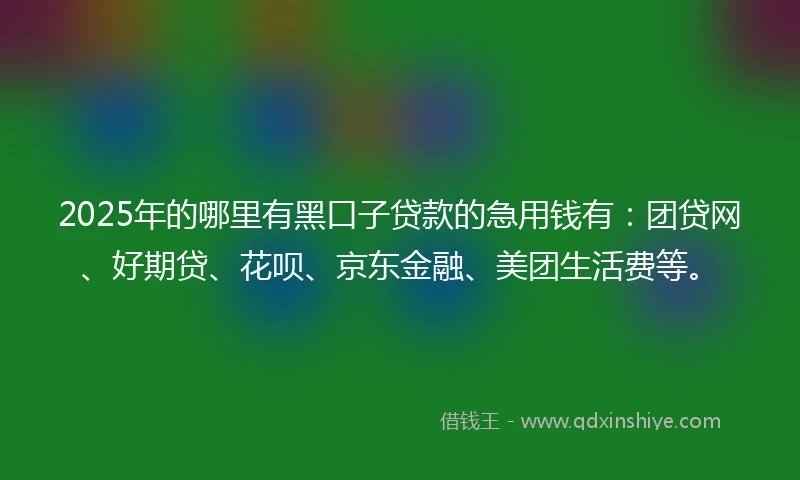 2025年的哪里有黑口子贷款的急用钱有：团贷网、好期贷、花呗、京东金融、美团生活费等。