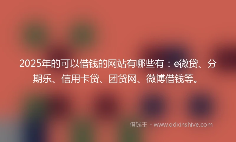 2025年的可以借钱的网站有哪些有：e微贷、分期乐、信用卡贷、团贷网、微博借钱等。