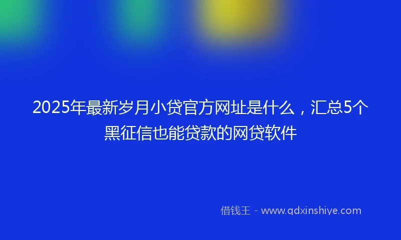 2025年最新岁月小贷官方网址是什么，汇总5个黑征信也能贷款的网贷软件