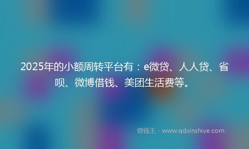 2025年的小额周转平台有：e微贷、人人贷、省呗、微博借钱、美团生活费等。
