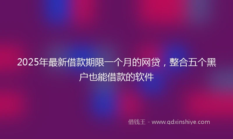 2025年最新借款期限一个月的网贷，整合五个黑户也能借款的软件