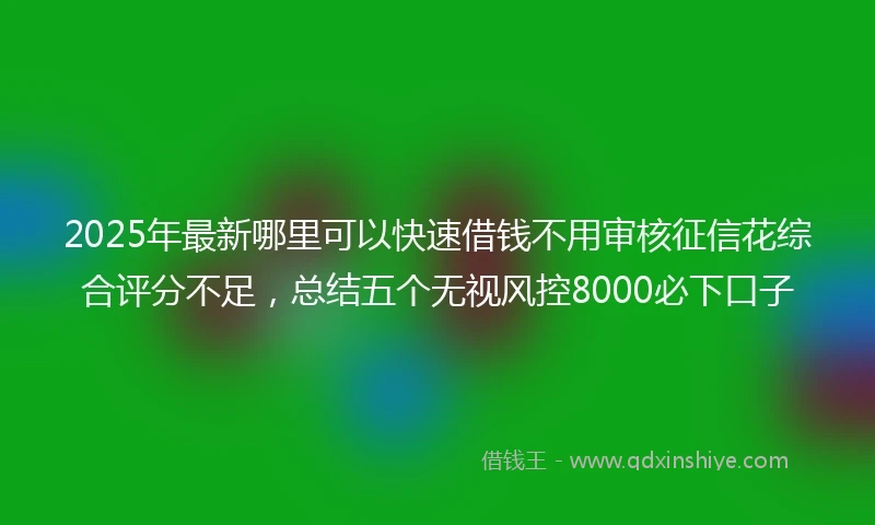 2025年最新哪里可以快速借钱不用审核征信花综合评分不足，总结五个无视风控8000必下口子