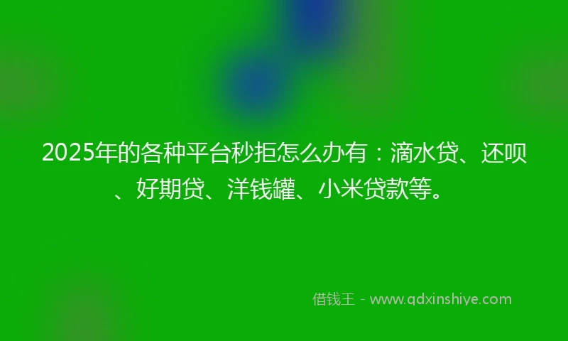 2025年的各种平台秒拒怎么办有：滴水贷、还呗、好期贷、洋钱罐、小米贷款等。