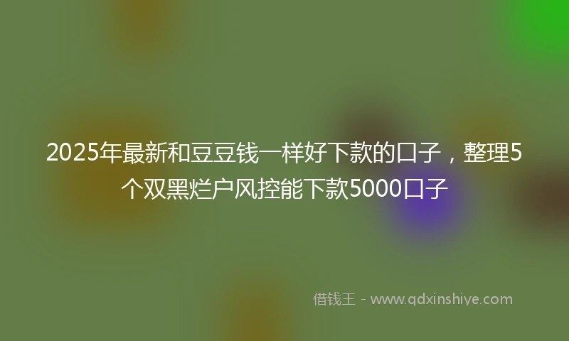 2025年最新和豆豆钱一样好下款的口子，整理5个双黑烂户风控能下款5000口子