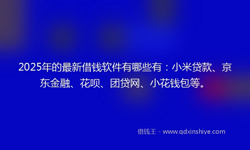 2025年的最新借钱软件有哪些有：小米贷款、京东金融、花呗、团贷网、小花钱包等。