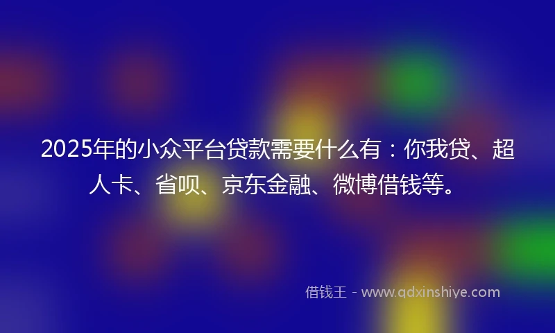 2025年的小众平台贷款需要什么有：你我贷、超人卡、省呗、京东金融、微博借钱等。