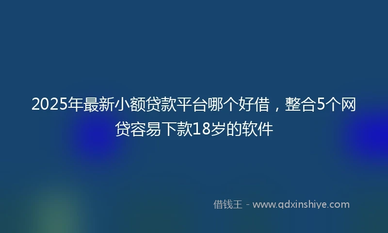 2025年最新小额贷款平台哪个好借，整合5个网贷容易下款18岁的软件