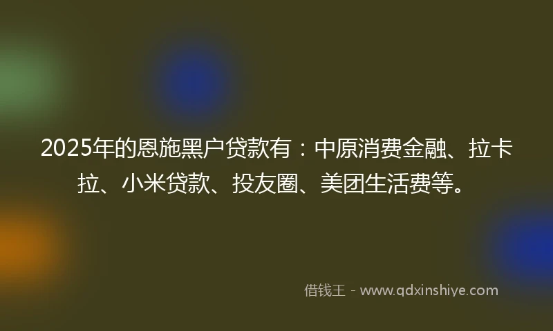 2025年的恩施黑户贷款有：中原消费金融、拉卡拉、小米贷款、投友圈、美团生活费等。