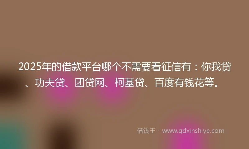2025年的借款平台哪个不需要看征信有：你我贷、功夫贷、团贷网、柯基贷、百度有钱花等。