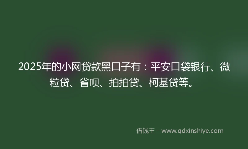 2025年的小网贷款黑口子有：平安口袋银行、微粒贷、省呗、拍拍贷、柯基贷等。