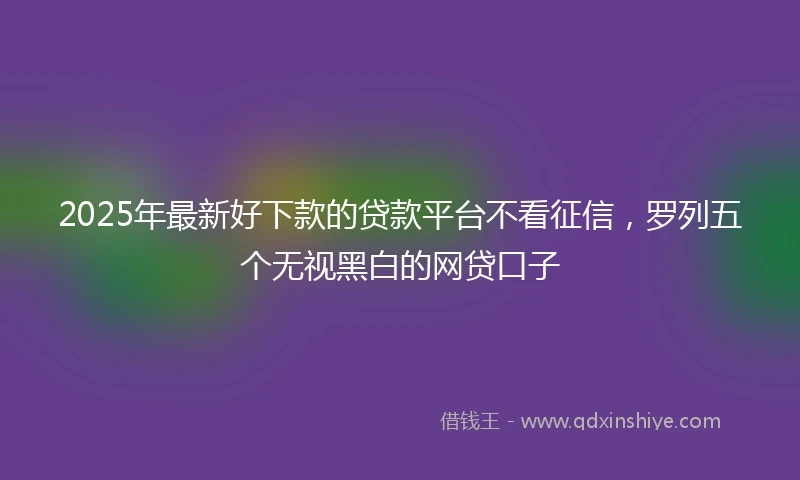 2025年最新好下款的贷款平台不看征信，罗列五个无视黑白的网贷口子