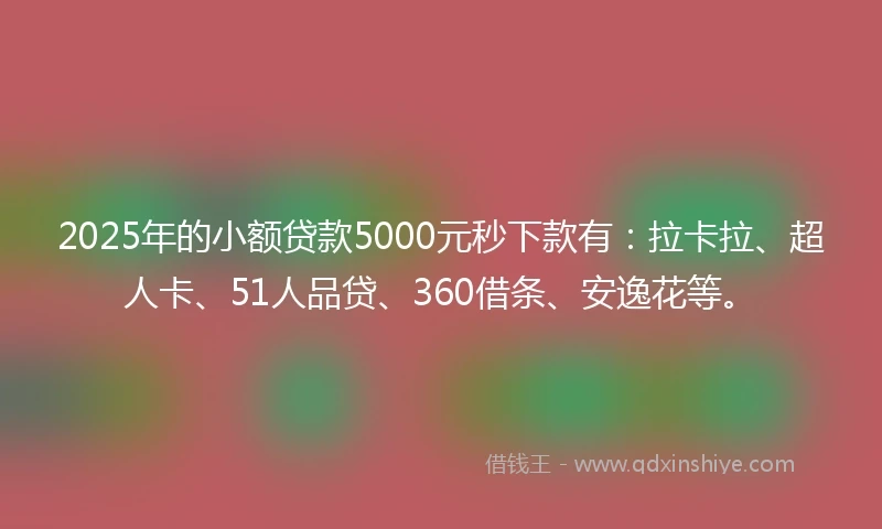 2025年的小额贷款5000元秒下款有：拉卡拉、超人卡、51人品贷、360借条、安逸花等。