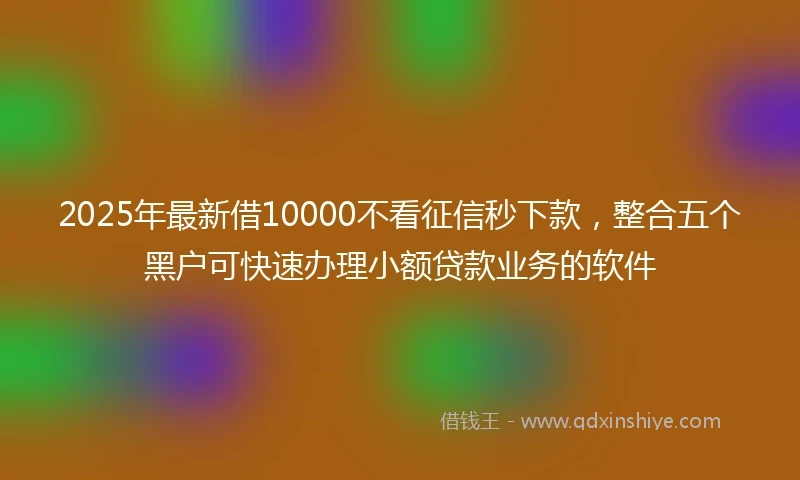 2025年最新借10000不看征信秒下款，整合五个黑户可快速办理小额贷款业务的软件