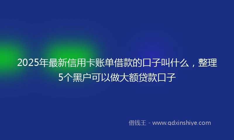 2025年最新信用卡账单借款的口子叫什么，整理5个黑户可以做大额贷款口子
