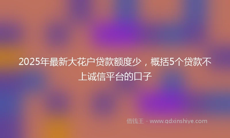 2025年最新大花户贷款额度少，概括5个贷款不上诚信平台的口子