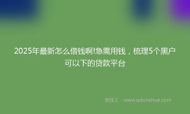 2025年最新怎么借钱啊!急需用钱，梳理5个黑户可以下的贷款平台