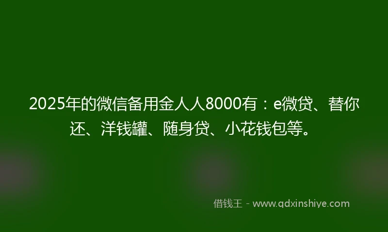 2025年的微信备用金人人8000有：e微贷、替你还、洋钱罐、随身贷、小花钱包等。