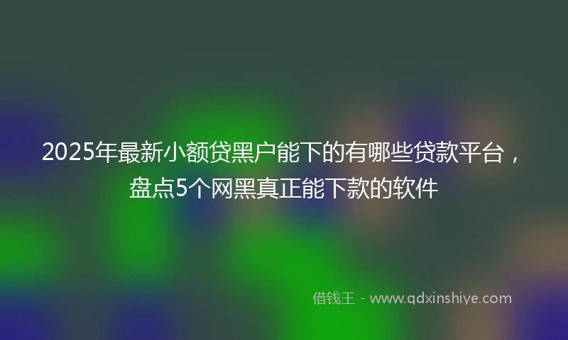 2025年最新小额贷黑户能下的有哪些贷款平台，盘点5个网黑真正能下款的软件