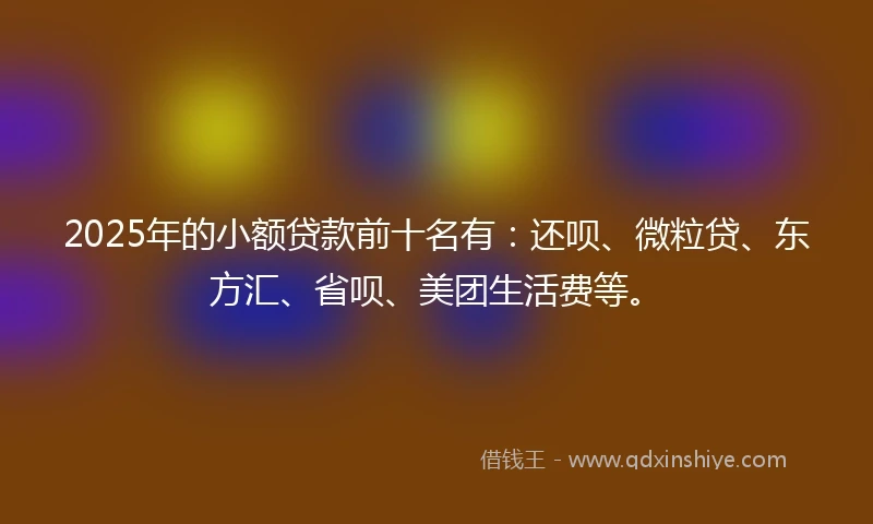 2025年的小额贷款前十名有：还呗、微粒贷、东方汇、省呗、美团生活费等。