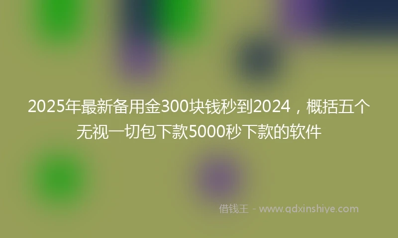 2025年最新备用金300块钱秒到2024，概括五个无视一切包下款5000秒下款的软件