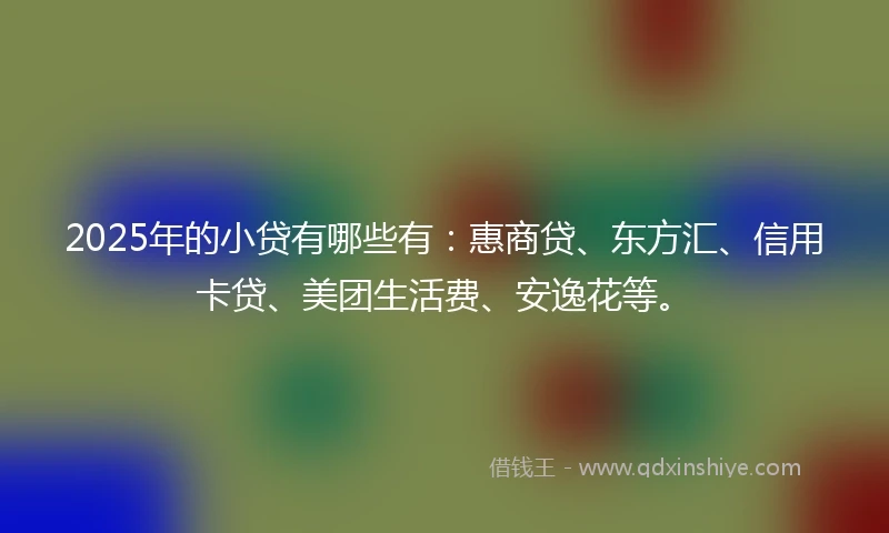 2025年的小贷有哪些有：惠商贷、东方汇、信用卡贷、美团生活费、安逸花等。