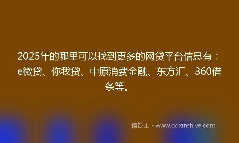 2025年的哪里可以找到更多的网贷平台信息有：e微贷、你我贷、中原消费金融、东方汇、360借条等。