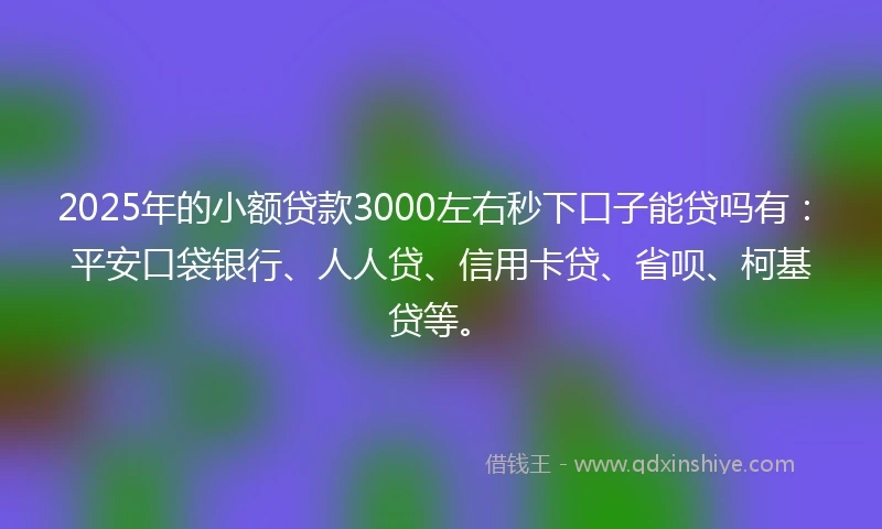 2025年的小额贷款3000左右秒下口子能贷吗有：平安口袋银行、人人贷、信用卡贷、省呗、柯基贷等。