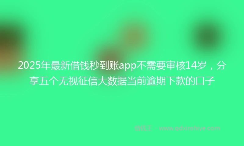 2025年最新借钱秒到账app不需要审核14岁，分享五个无视征信大数据当前逾期下款的口子