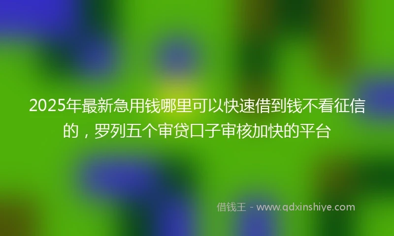 2025年最新急用钱哪里可以快速借到钱不看征信的，罗列五个审贷口子审核加快的平台