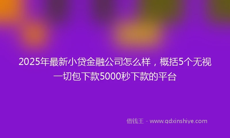 2025年最新小贷金融公司怎么样，概括5个无视一切包下款5000秒下款的平台