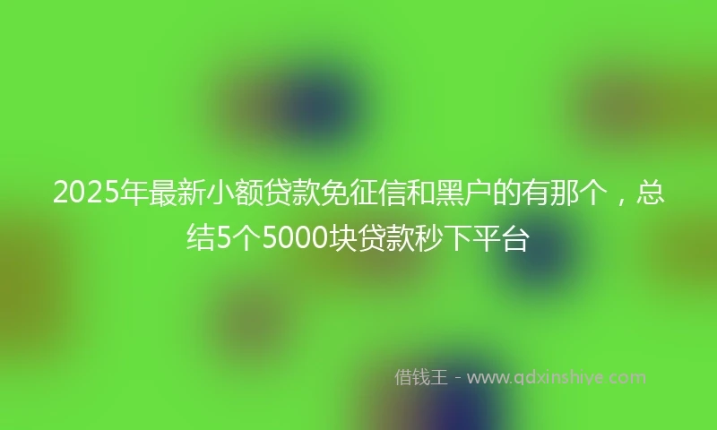 2025年最新小额贷款免征信和黑户的有那个，总结5个5000块贷款秒下平台