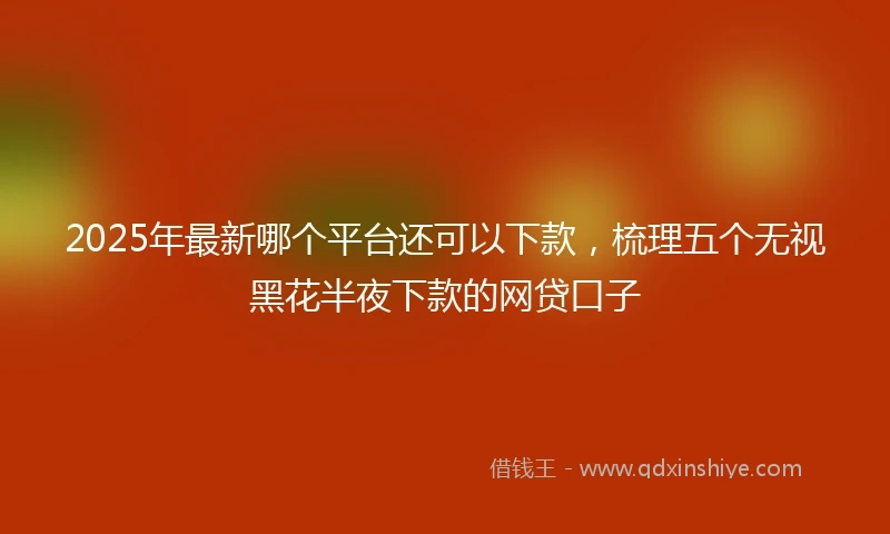2025年最新哪个平台还可以下款，梳理五个无视黑花半夜下款的网贷口子